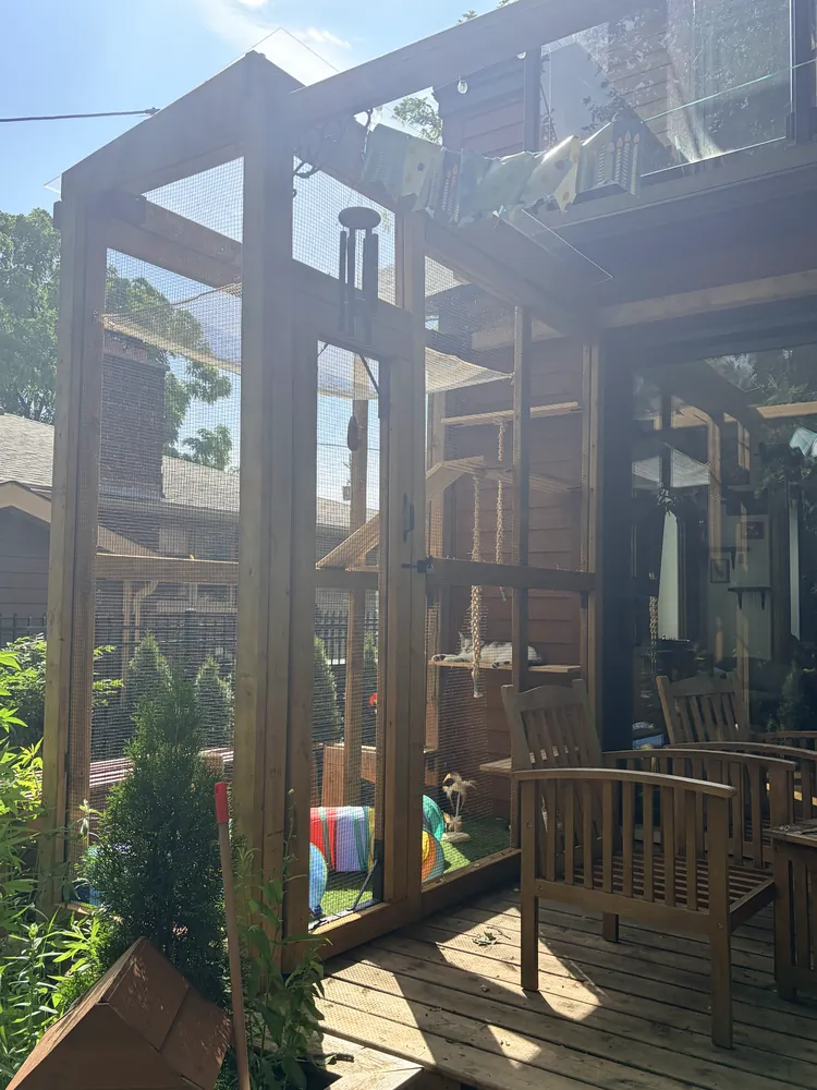 A screened outdoor cat enclosure built onto the side of a house.